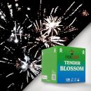 enaeria pyrotexnimata