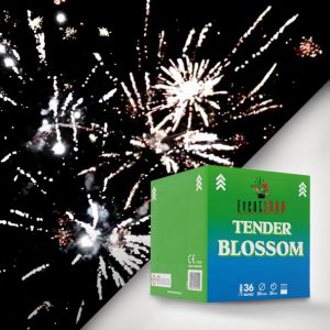 enaeria pyrotexnimata